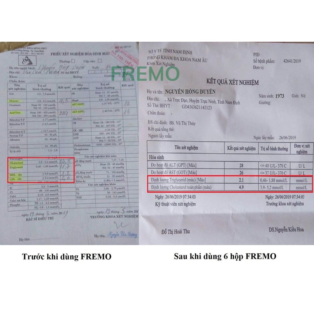 FREMO – Hỗ trợ hạ mỡ máu, gan nhiễm mỡ, giảm cholesterol (20 viên)