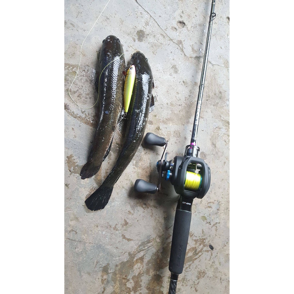 walkingdog . topwater, ,tsurinoya Dw12 mồi nhậy cá vược