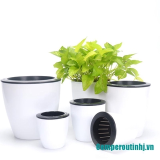Chậu cây bằng nhựa tự tưới nước tiện lợi