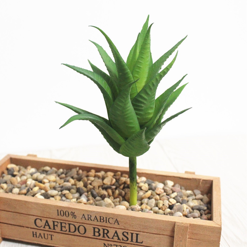 Cây mọng nước giả trang trí nhà cửa/ quán cafe DIY