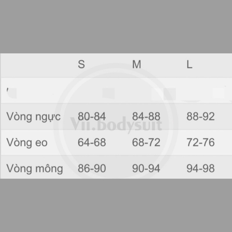 Bodysuit Hở Lưng Quyến Rũ Viibodysuit | BigBuy360 - bigbuy360.vn