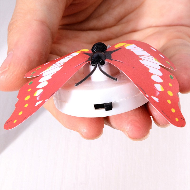 1 đèn LED hình bướm trang trí giáng sinh