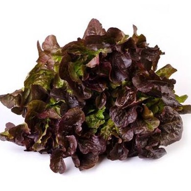 Hạt Giống Xà Lách Oakleaf (Sồi Tím) 2gr