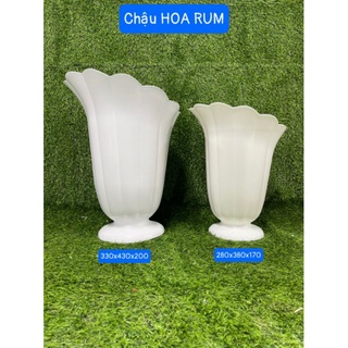 Chậu nhựa trắng dáng hoa rum
