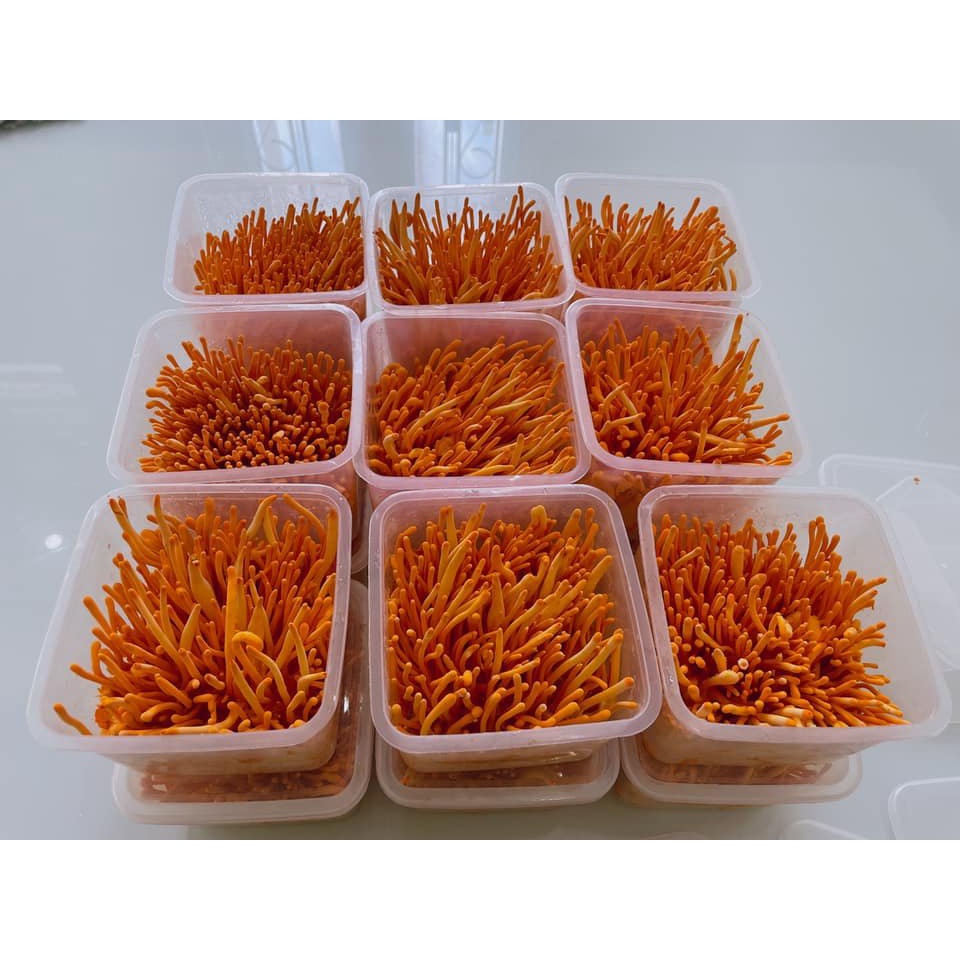 Đông Trùng Hạ Thảo sinh khối cao cấp - hộp 180 gram
