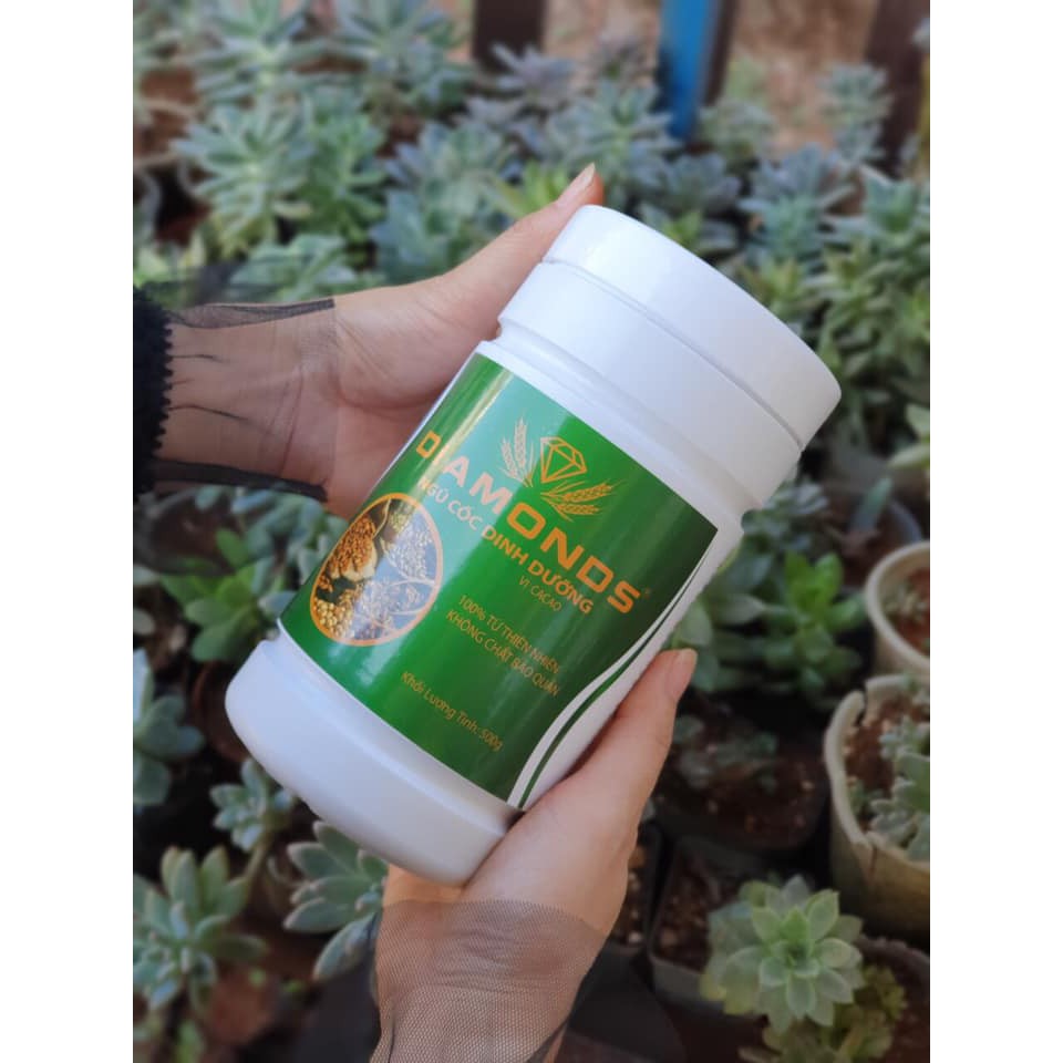 NGŨ CỐC DINH DƯỠNG CAO CẤP ( 14 loại hạt) DINH DƯỠNG VÀNG CHO CẢ GIA ĐÌNH