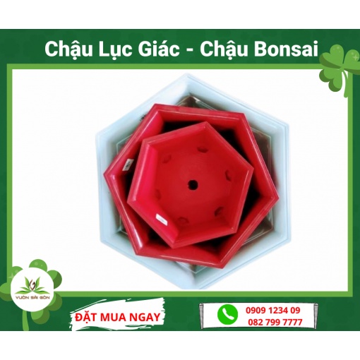 Chậu bonsai lục giác 28 (Mặt 28cmxĐáy 21.5cmxCao 11cm) - (Green City)