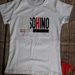 Combo áo thu