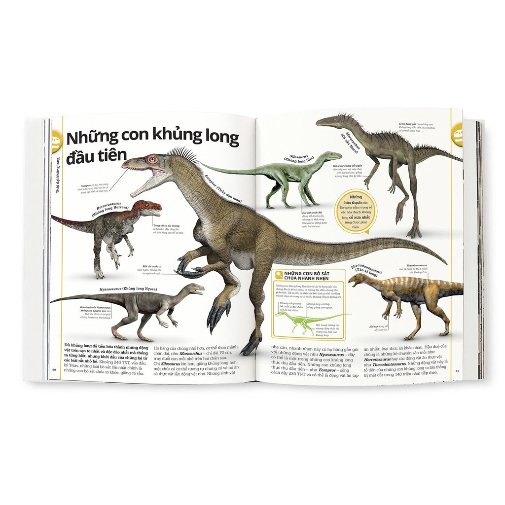 Sách Khủng Long ( Bìa cứng)