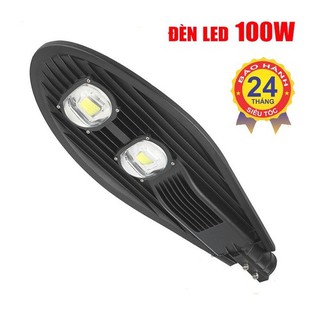 ĐÈN ĐƯỜNG 100W