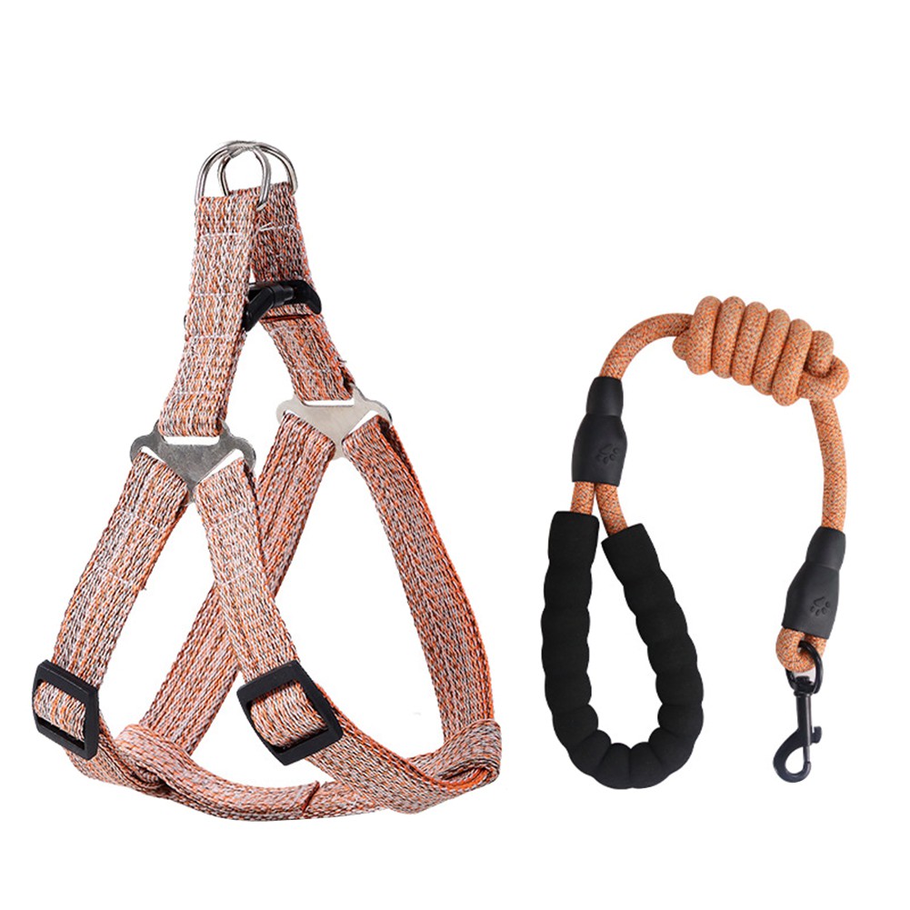 Dây dắt thú cưng đi dạo tiện lợi 120cm