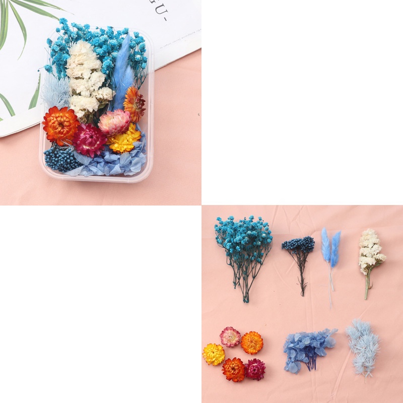 Hộp hoa khô handmade nhiều loại