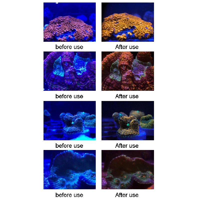 AqUariUm Lens Fish Tank Phone Camera Lens Filter 6 in 1 Macro Lens Yellow Lens Filter Coral Reef AqUariUm Photography