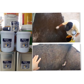 Chống Thấm Korea N03 Cho Hồ Cá Koi,Sàn Mái (4kg)