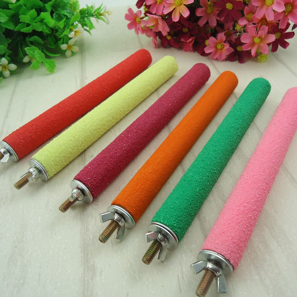 Giá Đỡ Đứng 5-25cm Chuyên Dụng Cho Chim Vẹt
