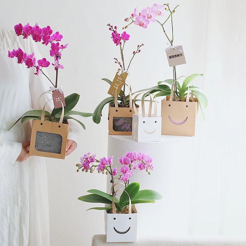 Túi Giấy Kraft Hình Vuông Đựng Quà / Hoa Thiết Kế Đơn Giản Sáng Tạo