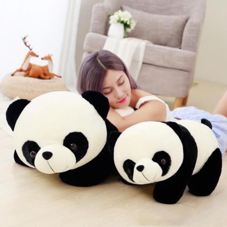 Gấu bông panda- gấu trúc dễ thương nhiều size lớn và nhỏ