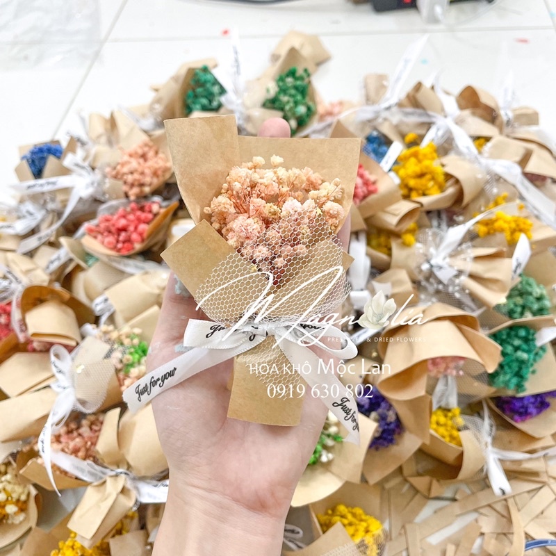 Bó hoa baby mini màu sắc random