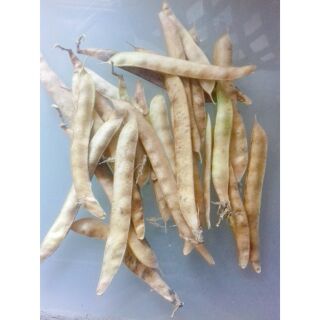 CÓ SẴN 10g hạt đậu biếc - ảnh thật của shop