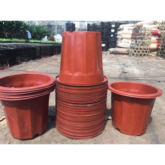 COMBO 10 CHẬU E300- 26*17*23CM