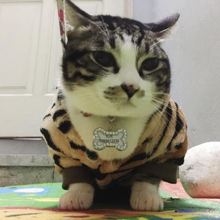 BẢNG TÊN ĐÍNH ĐÁ CHO THÚ CƯNG CHÓ MÈO