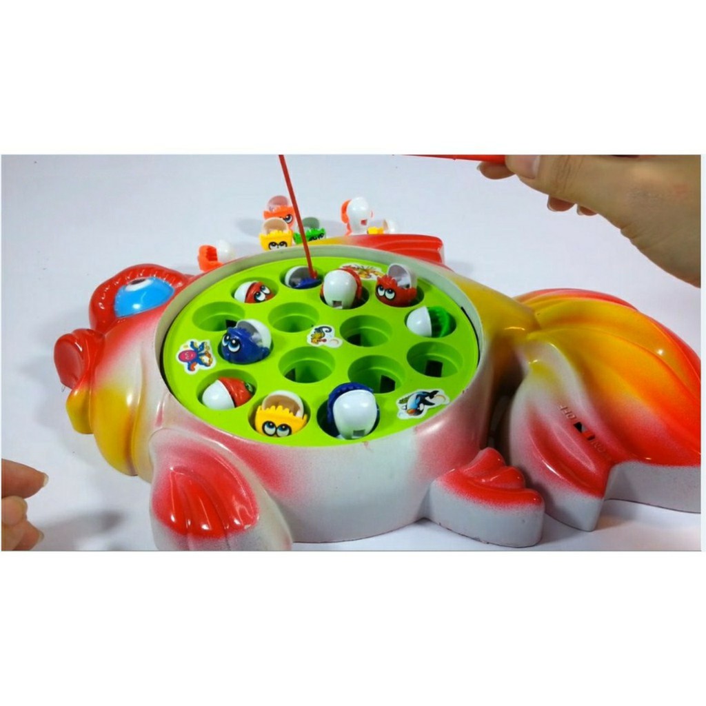 VỈ CÂU CÁ ĐĨA  -