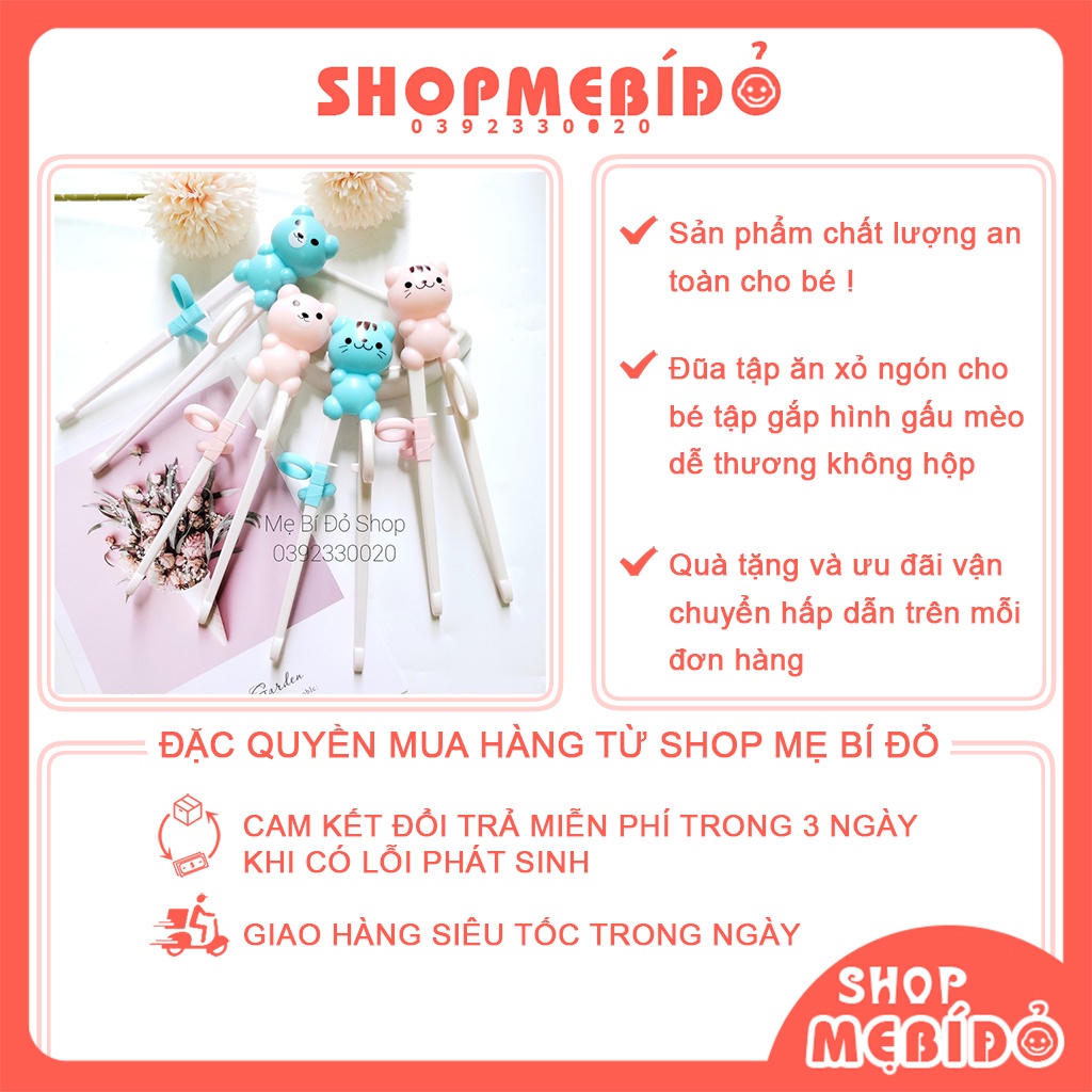 Đũa Tập Ăn Xỏ Ngón Cho Bé Tập Gắp Hình Gấu Mèo Dễ Thương AT20