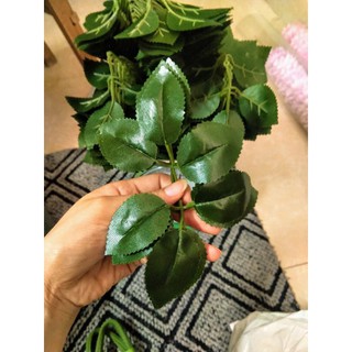 Lá hồng lụa 100gr (50-60 lá)