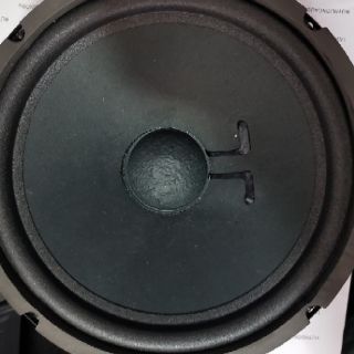 1 cặp BASS 25cm