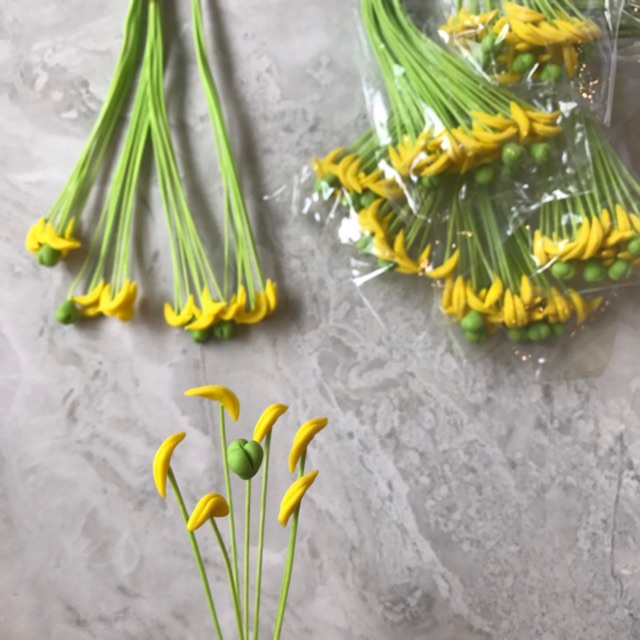 NHỤY HOA LILY BỘ