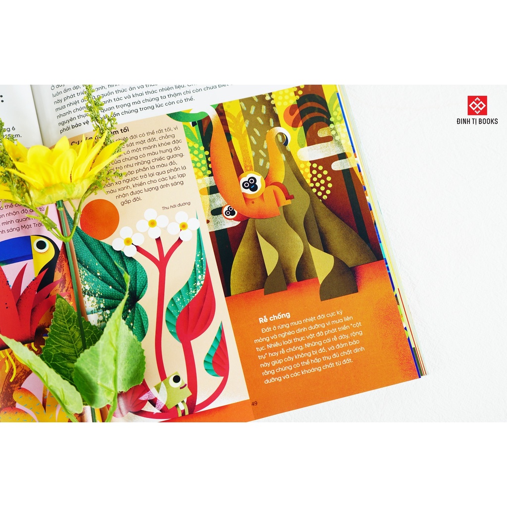 SÁCH - Bữa sáng của tớ là ánh dương