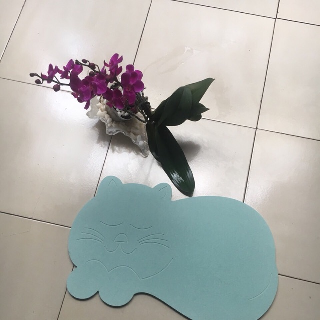 Thảm đá Nhật Bản siêu thấm hút