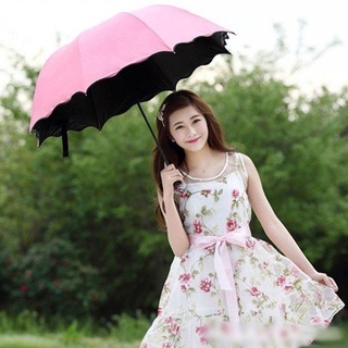 Ô nở hoa - dù nở hoa khi gặp nước