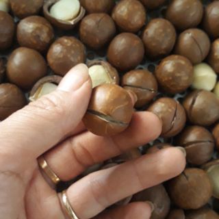 Mắc ca tách nứt bịch 500gr