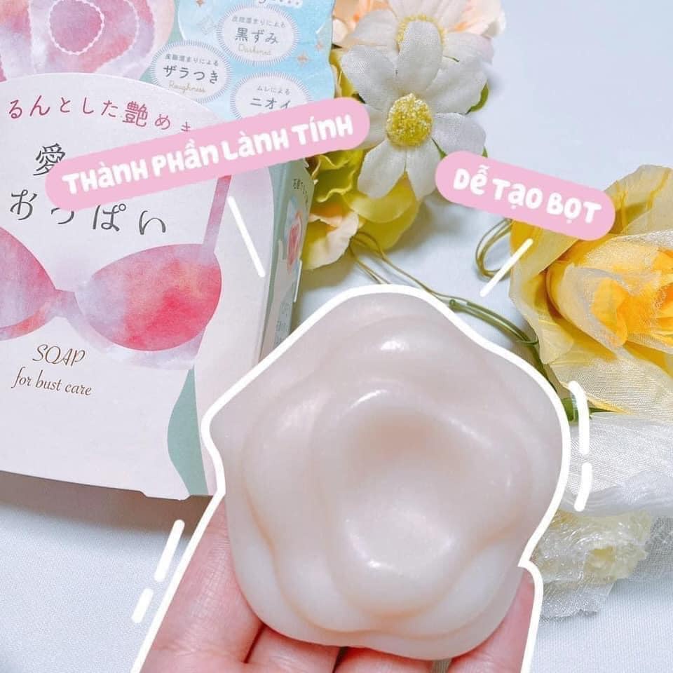 Xà Phòng Vùng Ngực Pelican Soap for Burt Care 70g | BigBuy360 - bigbuy360.vn