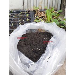 [ưu đãi] 5kg đất ươm cây hữu cơ