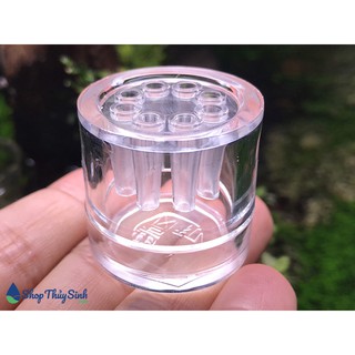 Bẫy sán cho hồ tép cảnh và hồ thủy sinh an toàn