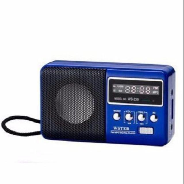Loa Wster WS 239