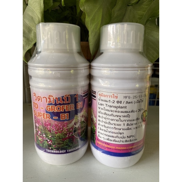 Kích rễ B1 Thái chai trắng 500ml