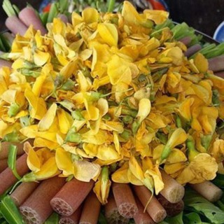 20h Hạt Giống Bông Điên Điển