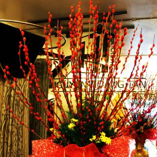 Bó 10 cành nụ tầm xuân