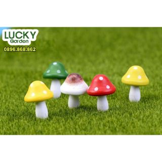 Cây Nấm Lớn Nhiều Màu ( Cây Nấm Gỗ Nhiều Màu) -  Phụ Kiện Trang Trí Tiểu Cảnh Terrariums