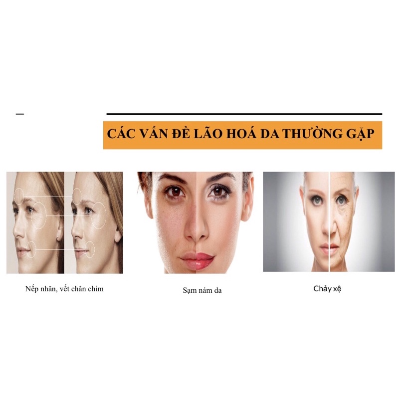 Tinh chất tế bào gốc - Hộp lẻ Vita-C Total Care Ampoule NewLand - Tinh chất dưỡng trắng da | BigBuy360 - bigbuy360.vn