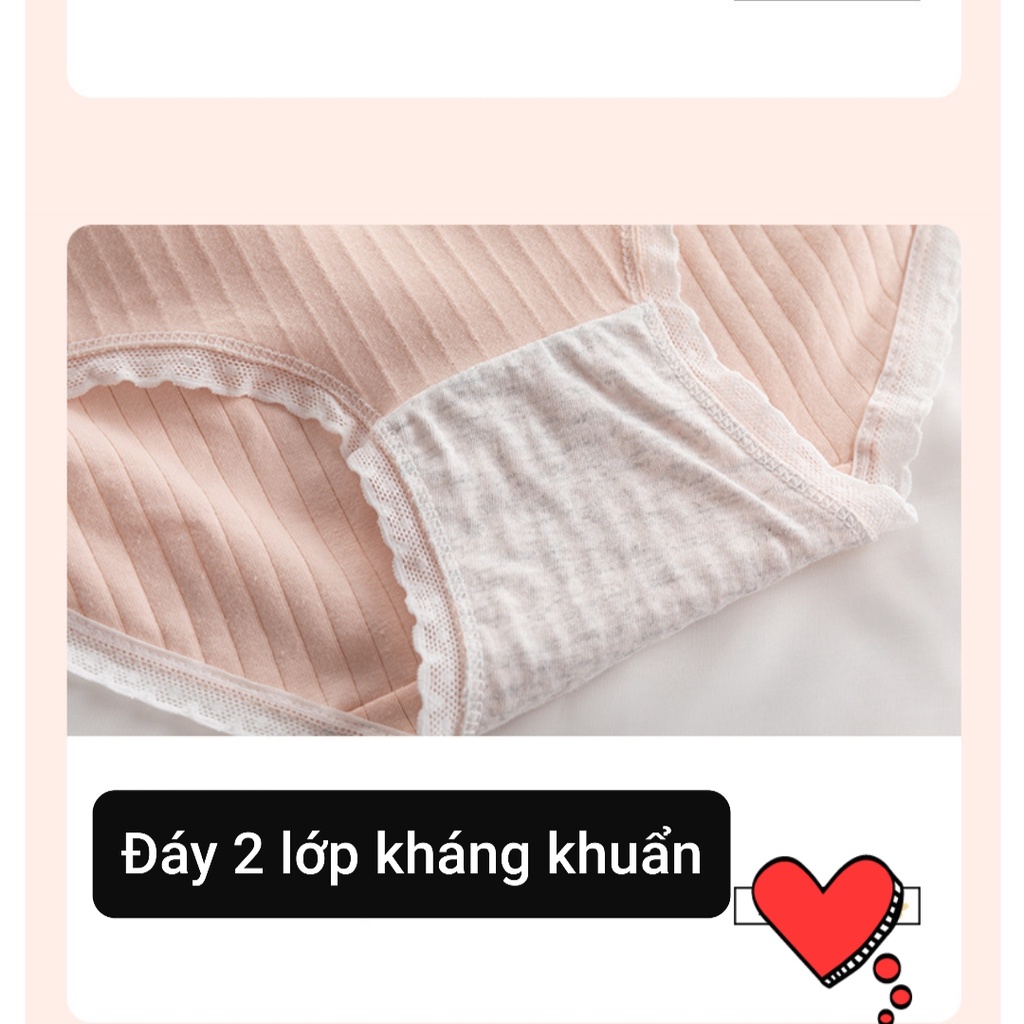 Quần Lót Nữ Cotton Combo 5 Chip kháng khuẩn thoáng mát đính nơ xinh tôn vòng 3 gợi cảm