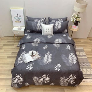 Bộ chăn ga gối cotton