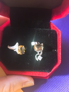 Mặt và nhẫn hồ ly
