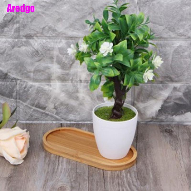 Đĩa Tre Hình Tròn / Vuông Chuyên Dụng Cho Trồng Cây