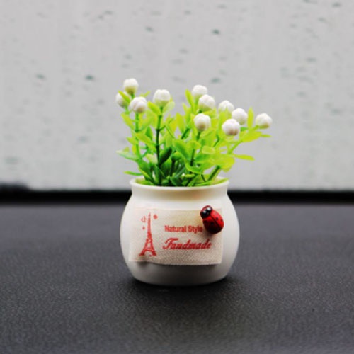 Chậu cây mini trang trí taplo ô tô, xe hơi, bàn làm việc
