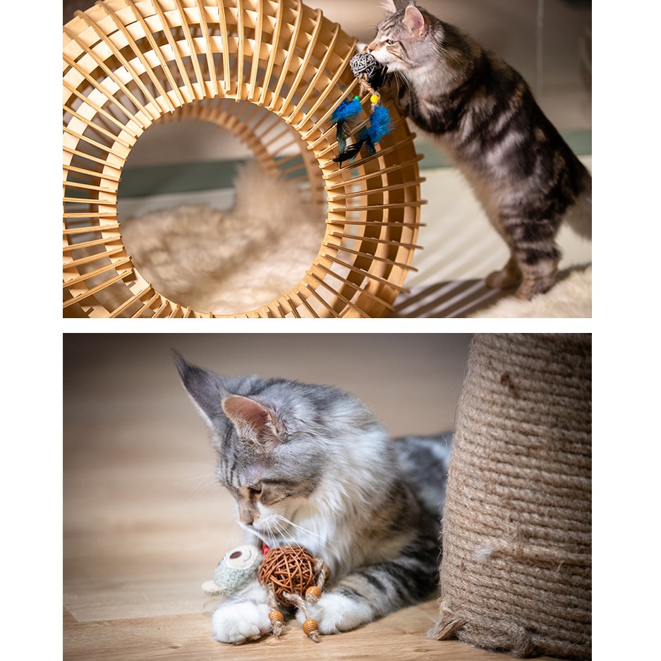 Gigwi Đồ chơi Cuộn chuông và lông cho mèo