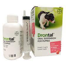 sổ giun cho chó con drontal dạng nước- 500ml/lọ